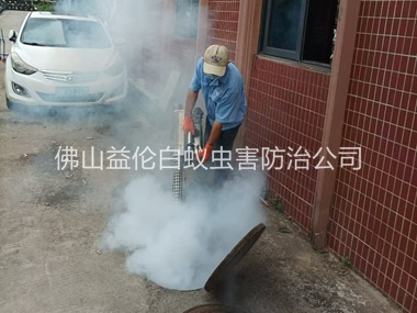 陈村环境蟑螂消杀工程