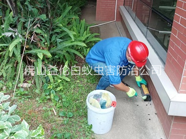 北滘施药灭鼠工程