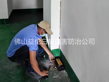 均安电房灭杀白蚁工程