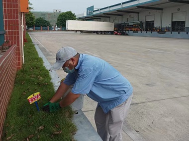 伦教蚁害备案中心消灭红火蚁危害的方法